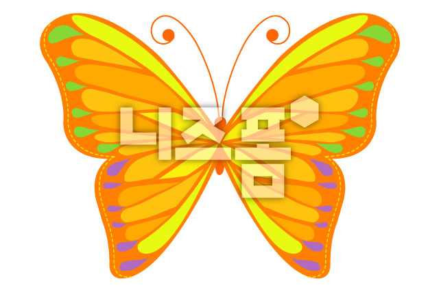 나비 이미지 미리보기