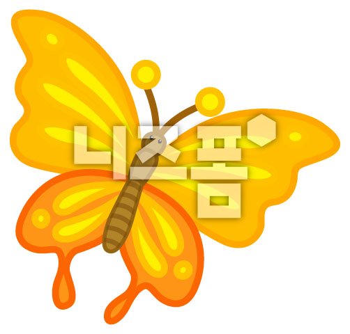 노란색나비 이미지 미리보기