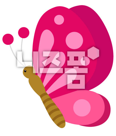 분홍색나비옆모습 이미지 미리보기