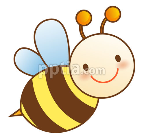 꿀벌 이미지 미리보기