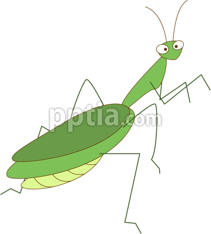 사마귀 이미지 미리보기