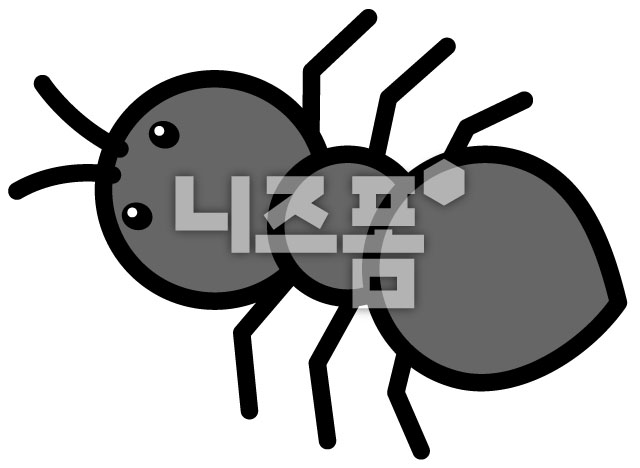 개미 이미지 미리보기