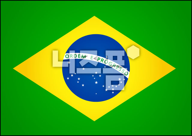 브라질 국기 이미지 미리보기