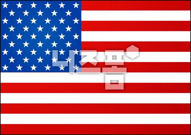 미국 국기 이미지 미리보기