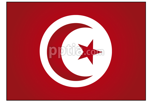 튀니지 국기 이미지 미리보기
