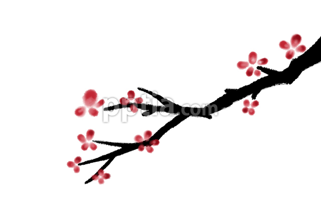 매화가지 이미지 미리보기