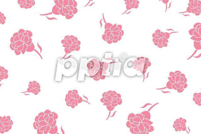 카네이션배경 이미지 미리보기