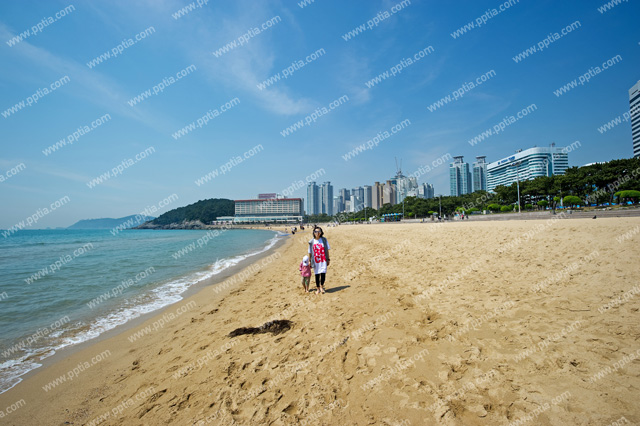 부산 해운대 풍경 이미지 미리보기