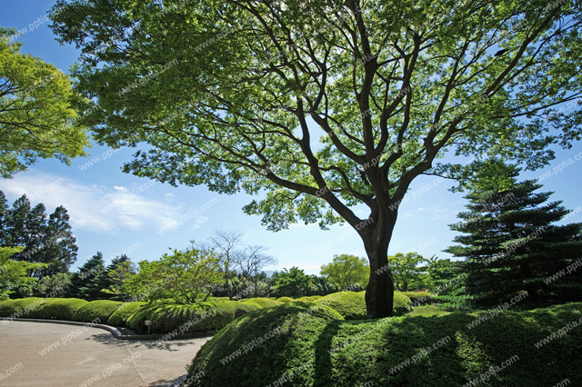 제주 산굼부리 이미지 미리보기