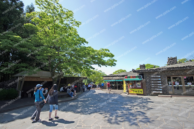 제주 산굼부리 이미지 미리보기