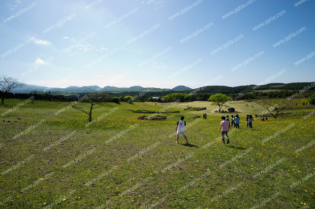 제주 산굼부리 이미지 미리보기