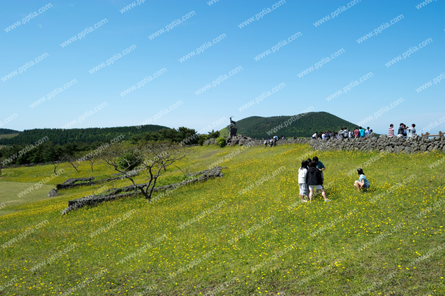 제주 산굼부리 이미지 미리보기