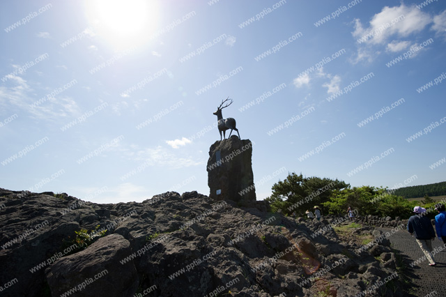 제주 산굼부리 이미지 미리보기