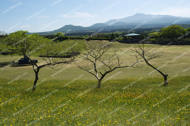 제주 산굼부리 이미지 미리보기