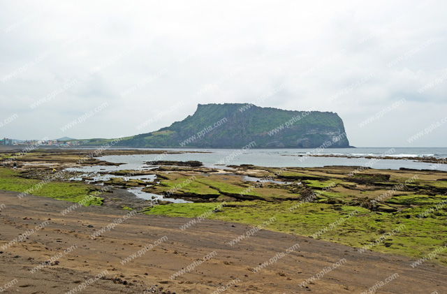 제주 성산일출봉 이미지 미리보기