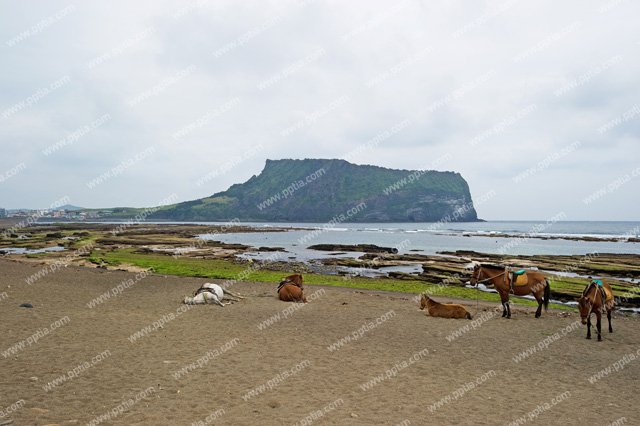 제주 성산일출봉 이미지 미리보기