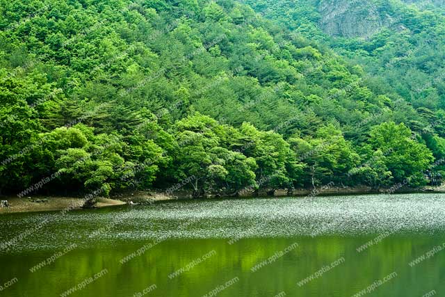 산과 저수지 이미지 미리보기