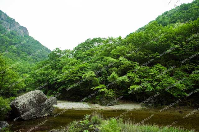 산과 계곡 이미지 미리보기