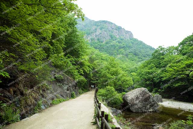 산길과 산 이미지 미리보기