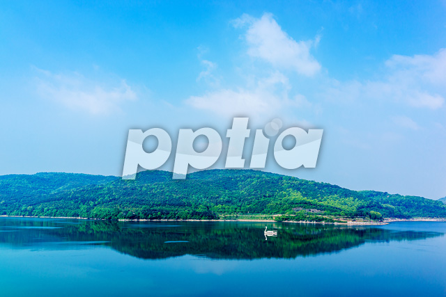 산과강 이미지 미리보기