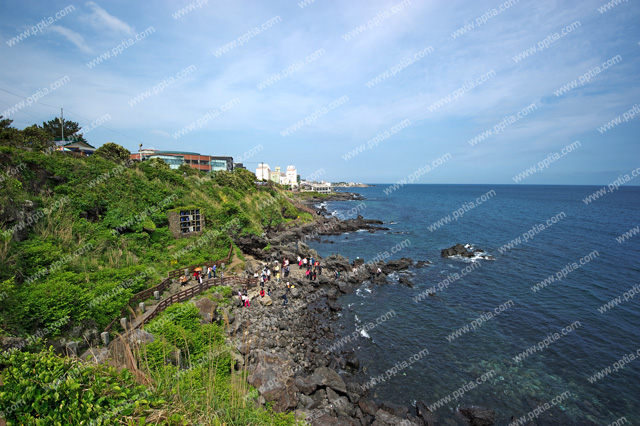 제주도 용두암 이미지 미리보기