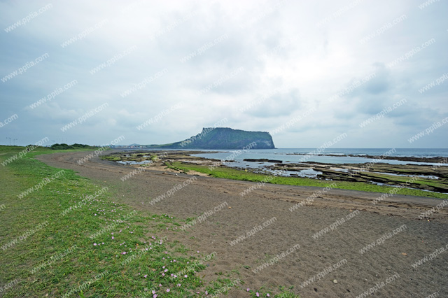 제주도 성산일출봉과 바다 이미지 미리보기