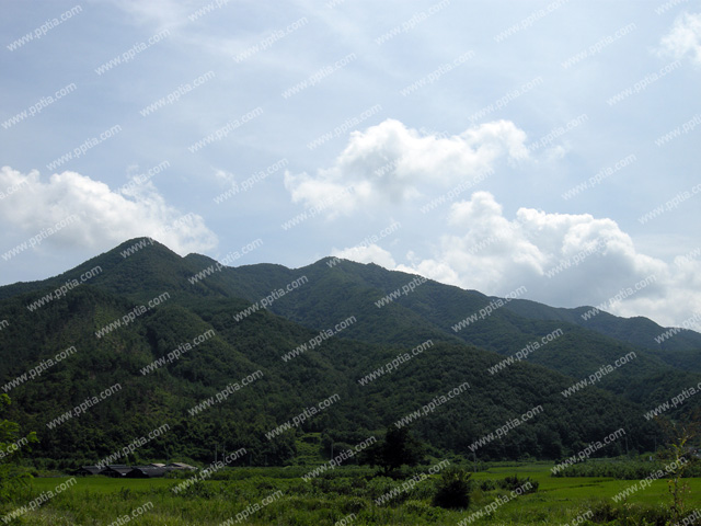 산 이미지 미리보기