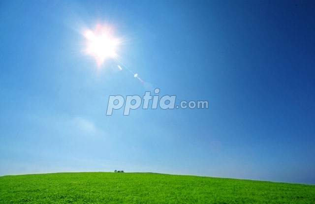 푸른초원 이미지 미리보기
