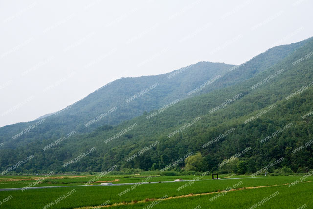 산 이미지 미리보기