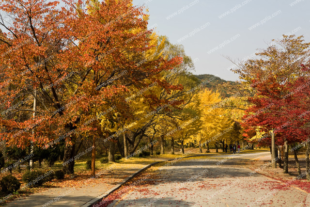 가을풍경 이미지 미리보기