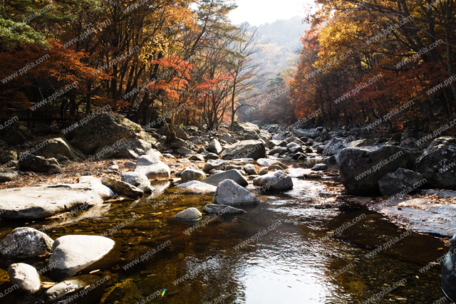 계곡 이미지 미리보기