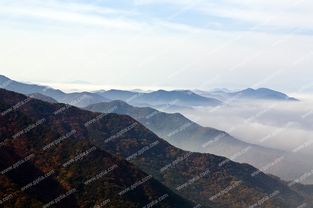 산 이미지 미리보기