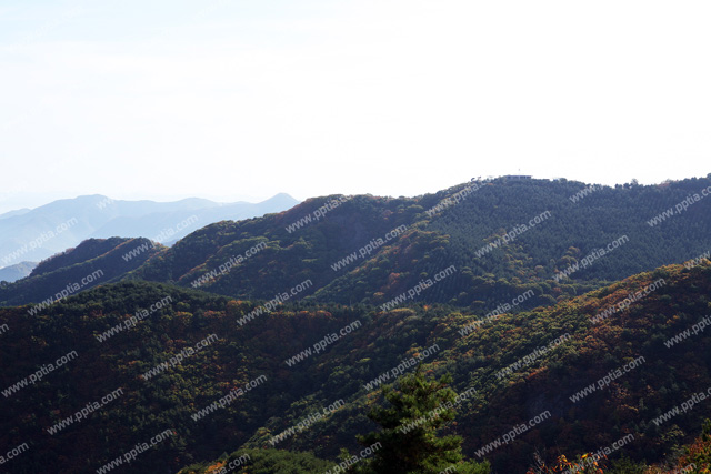 산 이미지 미리보기