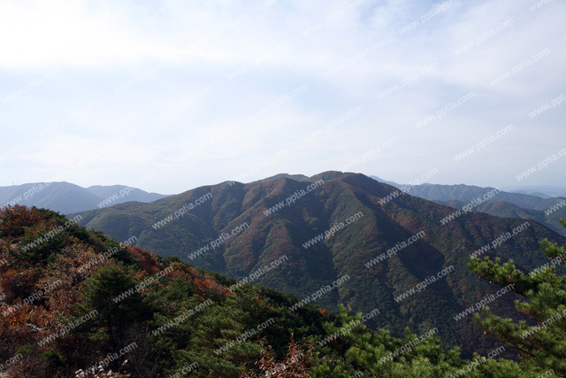 산 이미지 미리보기