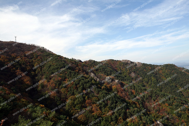 산 이미지 미리보기