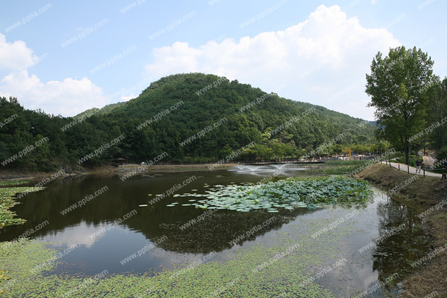 산 이미지 미리보기