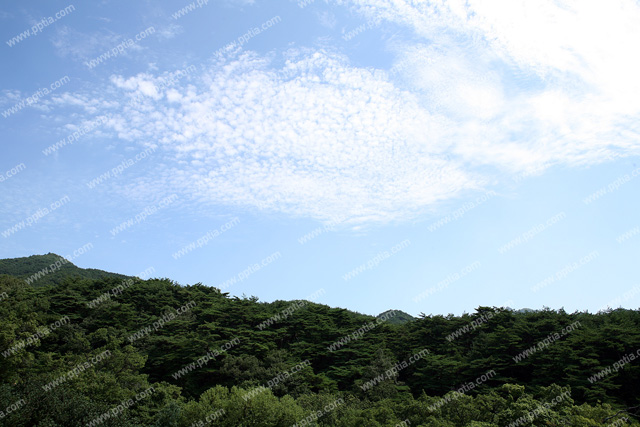 산 이미지 미리보기