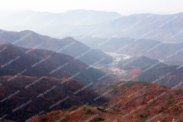 산 이미지 미리보기
