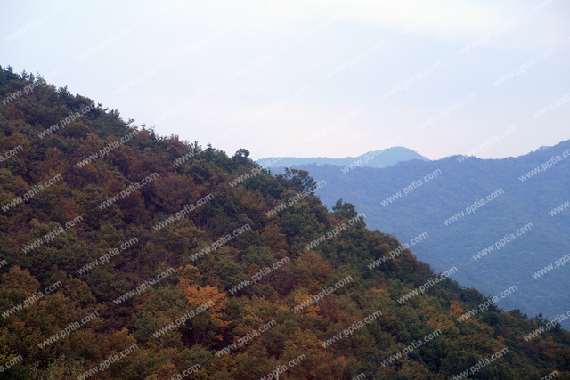 산 이미지 미리보기