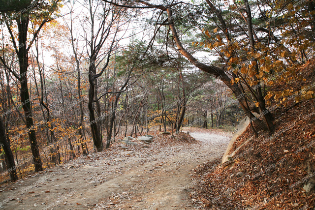 산길 이미지 미리보기
