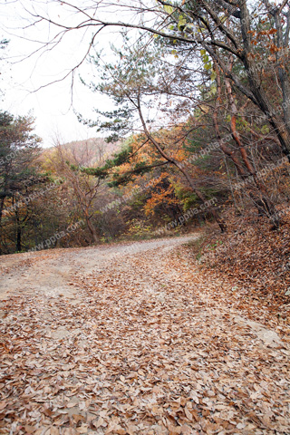 산길 이미지 미리보기