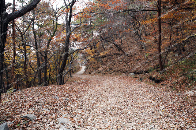 산길 이미지 미리보기
