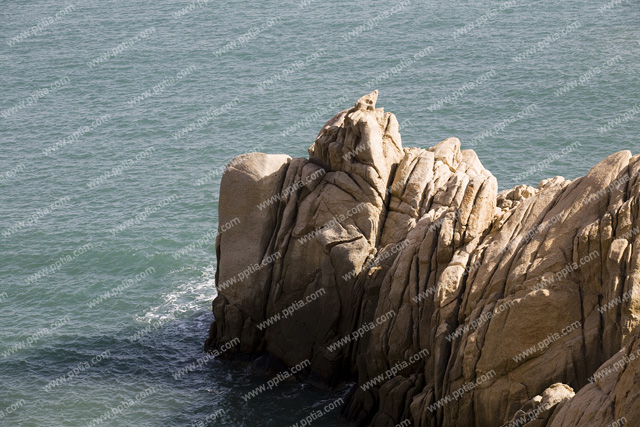 바다와 바위 이미지 미리보기