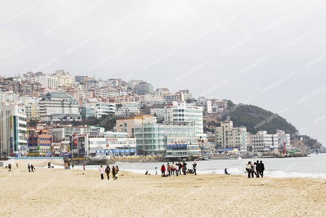 해변가 이미지 미리보기