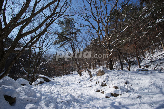 눈 내린 뒤 산속 풍경 이미지 미리보기