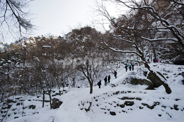 눈 내린 뒤 산속 풍경 이미지 미리보기