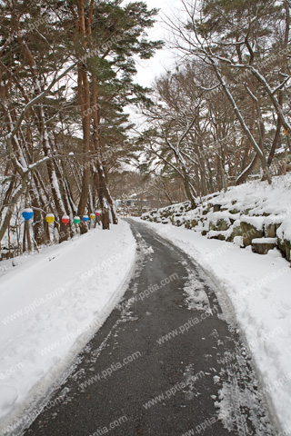 산속의 눈길 이미지 미리보기