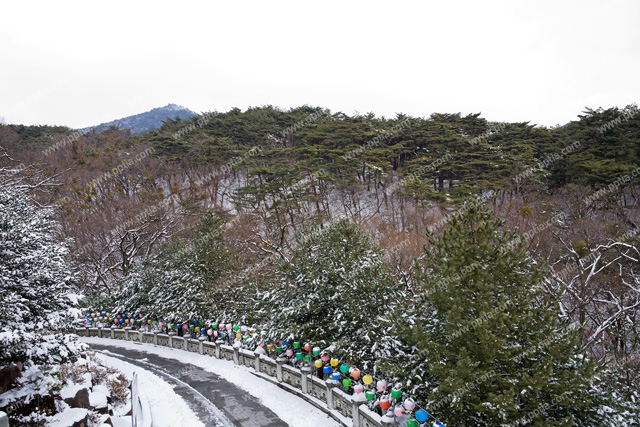 산 이미지 미리보기