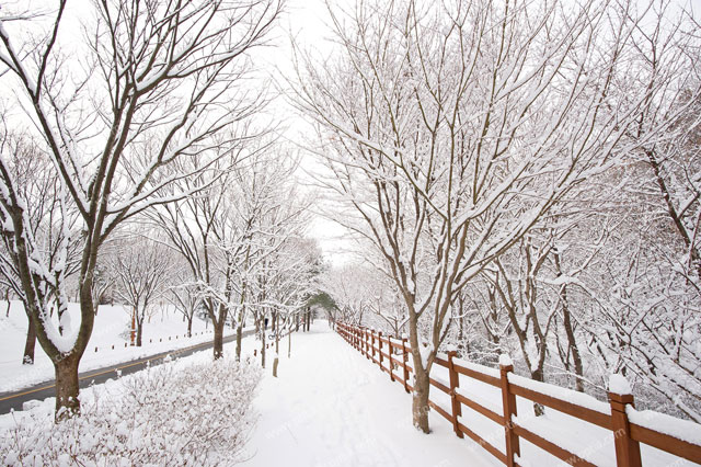 눈 내린 공원의 겨울 풍경 이미지 미리보기