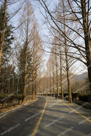 도로 이미지 미리보기